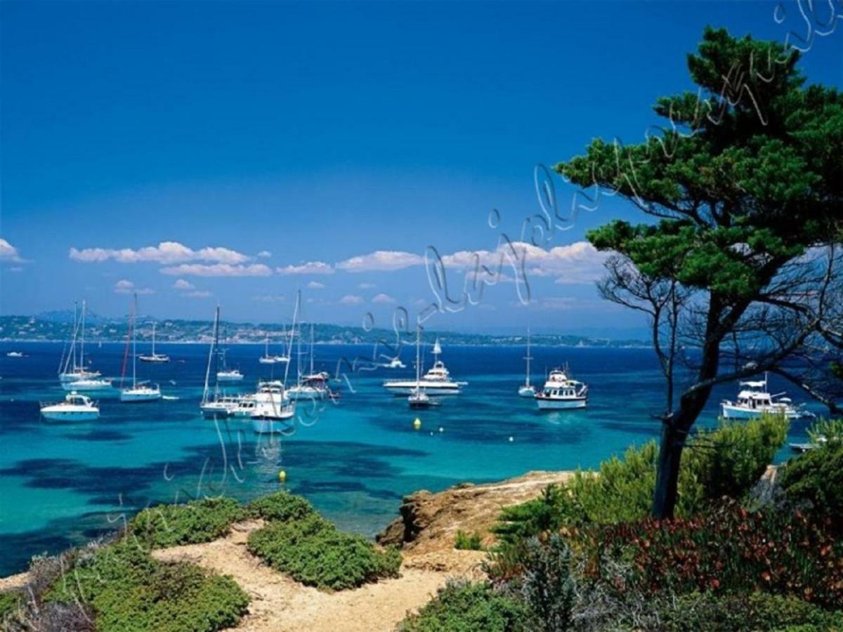 Magnifique Parc De La Presqu'Ile Avec Piscine Et Plage Face A Porquerolles ! Hyeres Exterior photo
